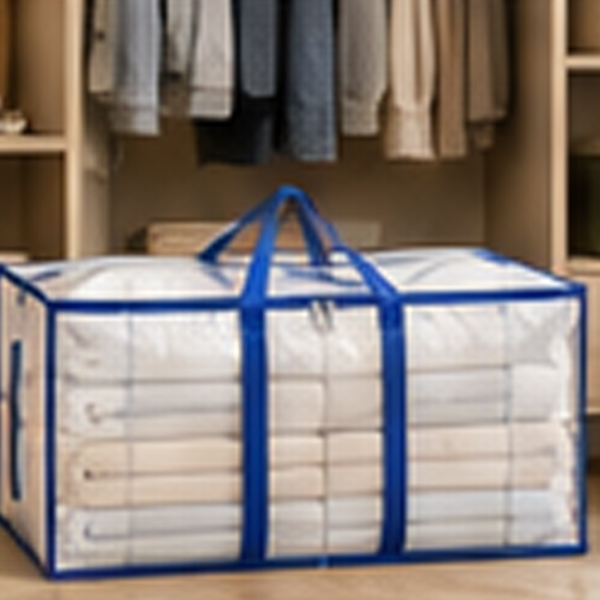 Organized bedroom closet with seasonal clothes in bags